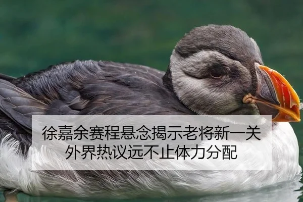徐嘉余赛程悬念揭示老将新一关 外界热议远不止体力分配